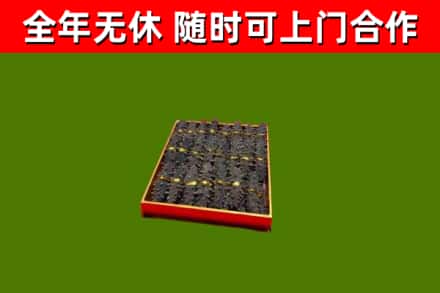 固原回收海参
